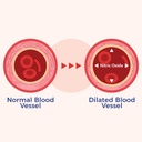 xtendlife-vasqflow-nitric-oxide-booster--5.jpg