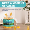 kava-kava-gummies-sugar-free-calm-gummie-3.jpg