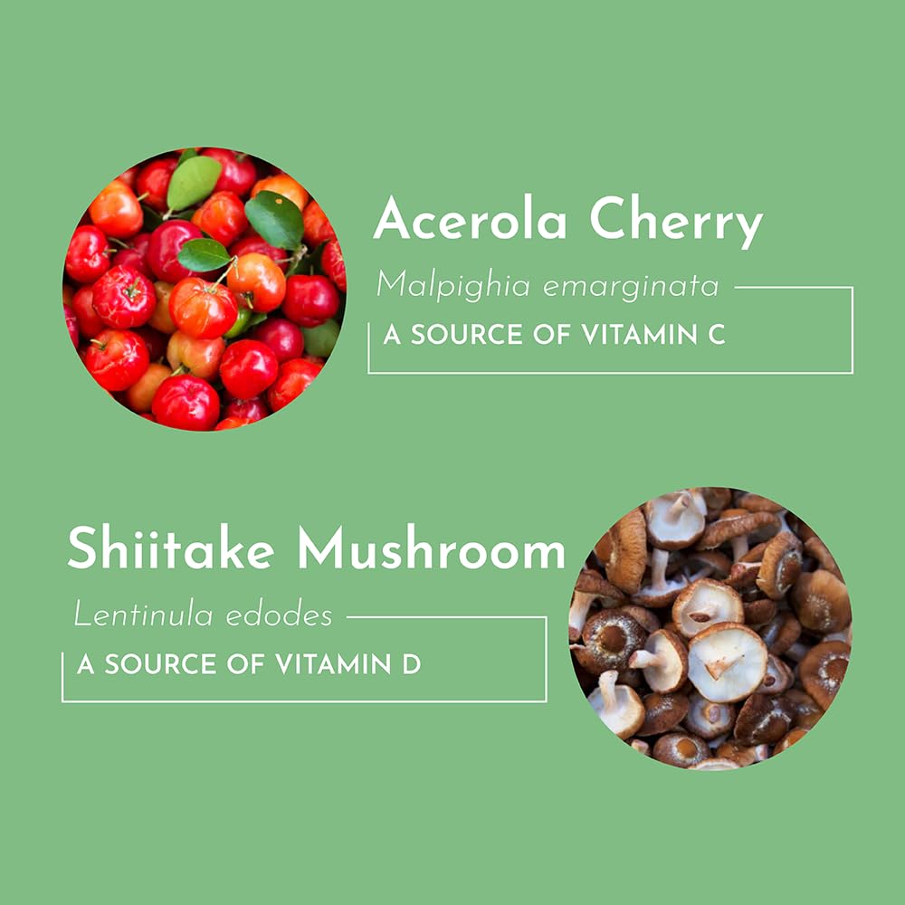 just-ingredients-multivitamin-supplement-4.jpg