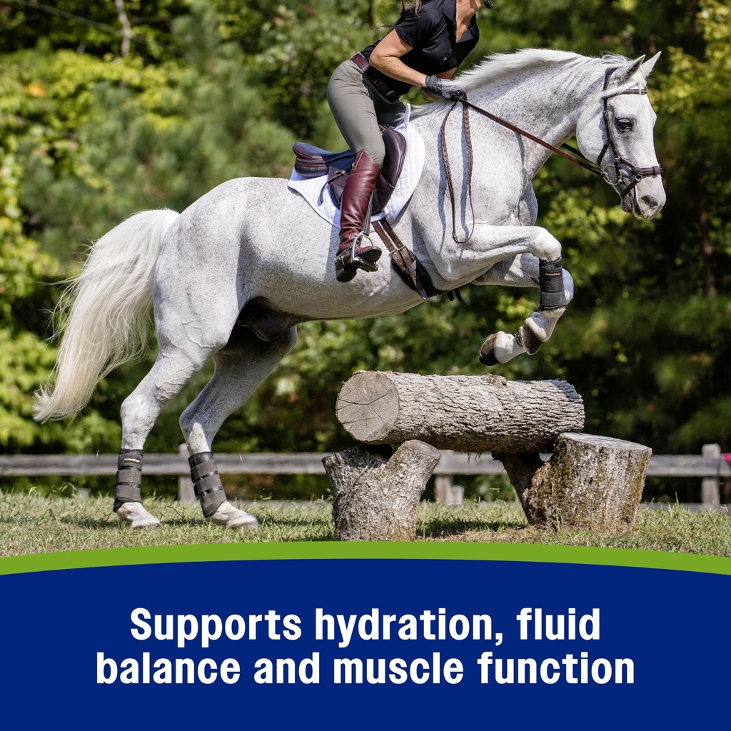 farnam-apple-elite-horse-electrolytes-po-6.jpg