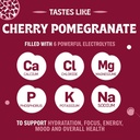 electrolyte-powder-cherry-pomegranate-fl-3.jpg