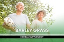 pure-original-ingredients-barley-grass-3-4.jpg