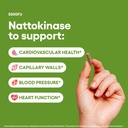 nattokinase-5000fu-arterial-support-targ-3.jpg