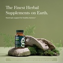 gaia-herbs-bacopa-brain-cognitive-suppor-2.jpg