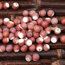 gorgon-fruit-organic-dried-gorgon-fruit--4.jpg