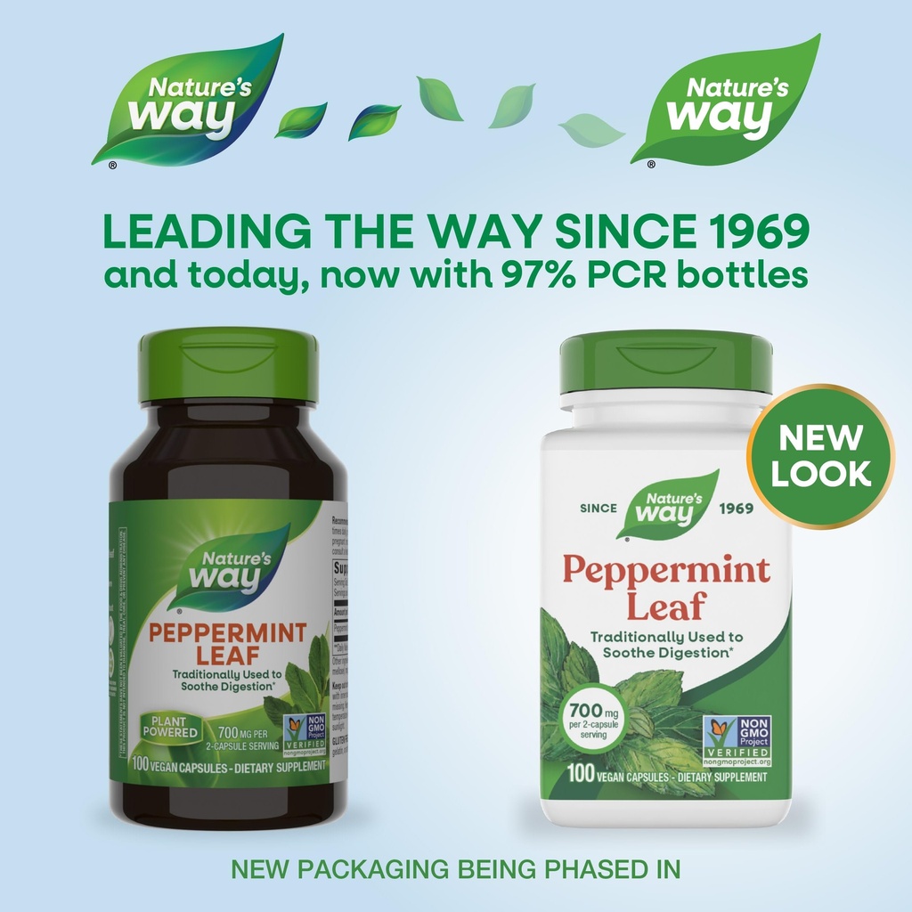 nature-s-way-peppermint-leaf-traditional-2.jpg