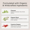 zuma-nutrition-lymphatic-tonic-vegan-her-3.jpg