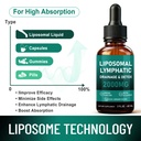 lymphatic-drainage-drops-immune-support--5.jpg