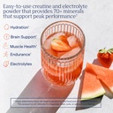 trace-minerals-creatine-electrolytes-pow-2.jpg