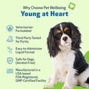 pet-wellbeing-young-at-heart-for-dogs----2.jpg