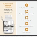 organixx-joint-muscle-care-organic-turme-4.jpg