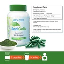 troya-sani-cells-afa-blue-green-algae-ca-6.jpg