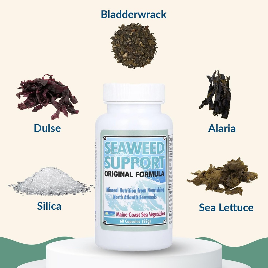 maine-coast-sea-vegetables-seaweed-suppo-3.jpg