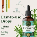 herbamama-cleavers-lymphatic-drainage-dr-6.jpg
