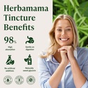 herbamama-cleavers-lymphatic-drainage-dr-5.jpg