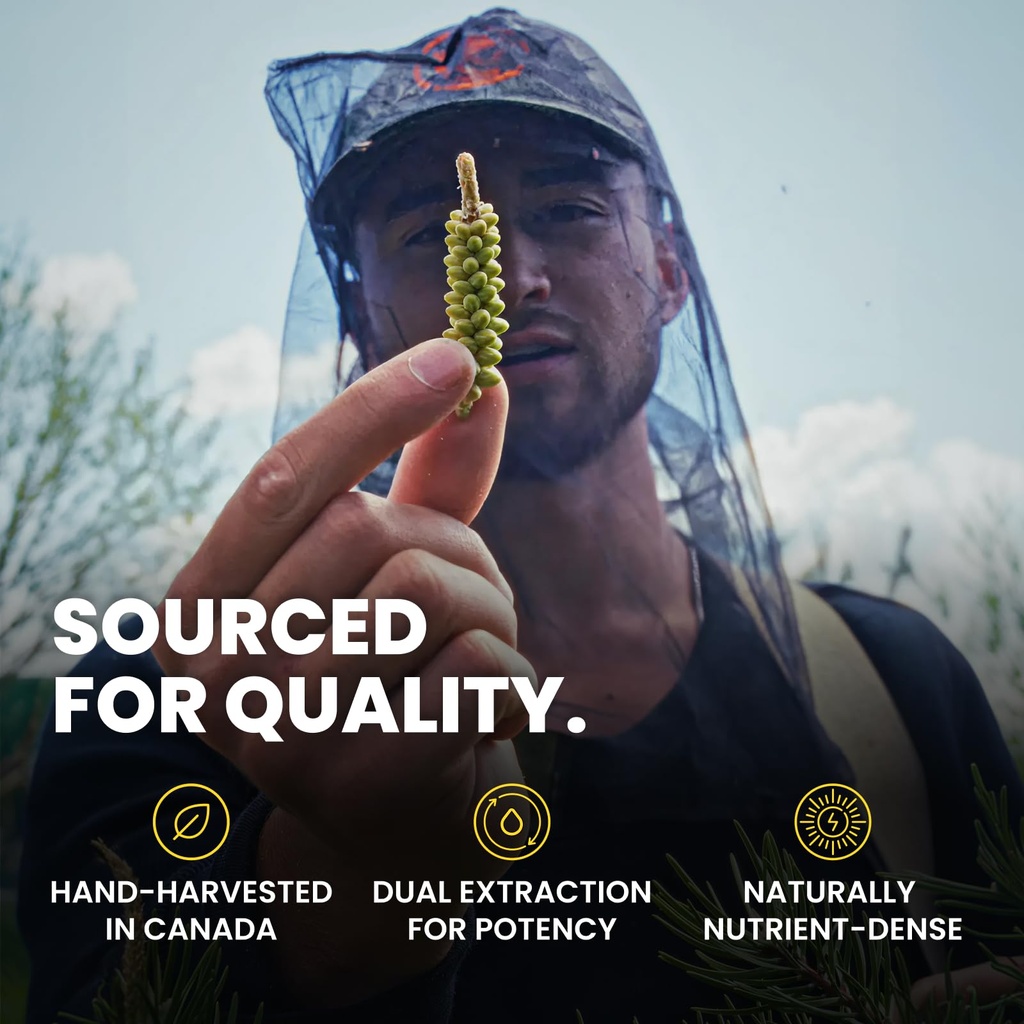 based-pine-pollen-tincture-wild-harveste-5.jpg