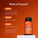 akkermansia-probiotic-for-cravings-gut-h-6.jpg