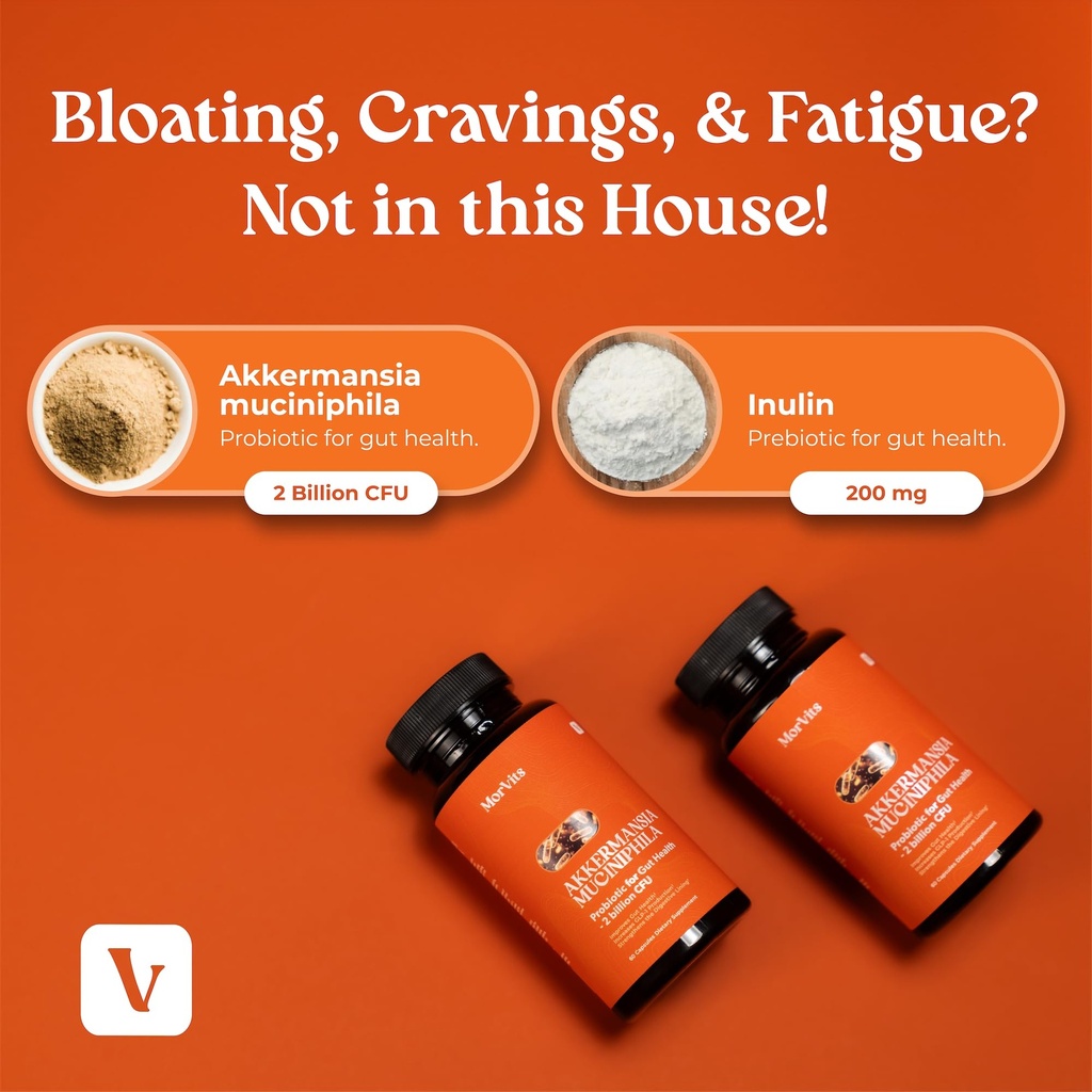 akkermansia-probiotic-for-cravings-gut-h-4.jpg