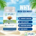 pure-irish-sea-moss-750mg-60-organic-cap-3.jpg