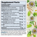 andrew-lessman-night-time-180-capsules-3-2.jpg