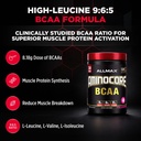 allmax-aminocore-bcaa-powder-for-workout-2.jpg