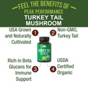 peak-performance-organic-turkey-tail-cap-2.jpg