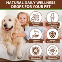 turkey-tail-mushroom-for-dogs-dog-mushro-3.jpg