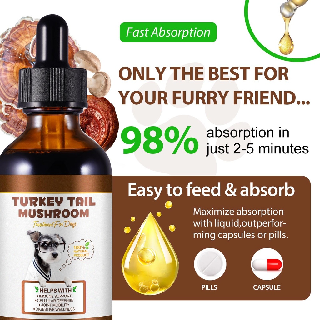 turkey-tail-mushroom-for-dogs-dog-mushro-5.jpg