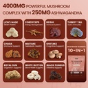 lions-mane-mushroom-gummies-for-adults-4-2.jpg