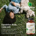 futurebiotics-dandelion-root-1500-mg-per-3.jpg