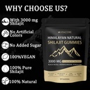 vitacore-himalayan-shilajit-gummies-for--6.jpg