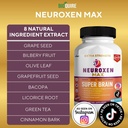 neuroxen-max-super-brain-memory-focus-su-4.jpg