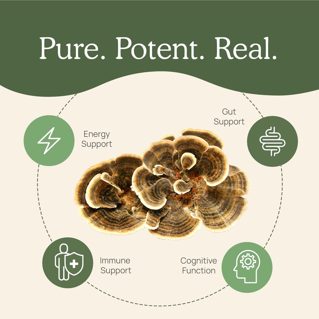 real-mushrooms-turkey-tail-mushroom-powd-5.jpg