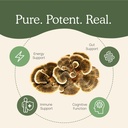 real-mushrooms-turkey-tail-mushroom-powd-5.jpg