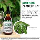 nutramedix-immune-support-supplement-mad-5.jpg