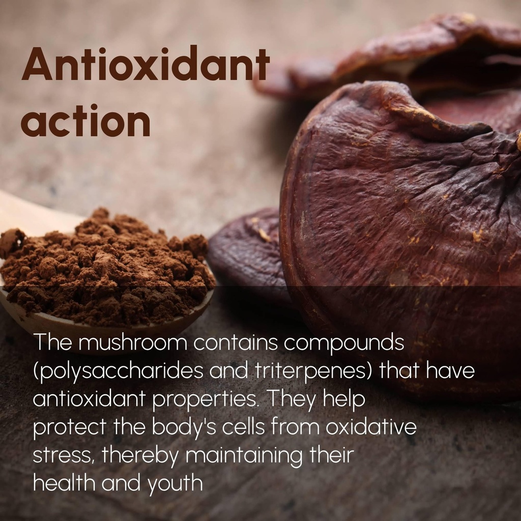 reishi-mushroom-powder-8-oz-to-support-t-3.jpg