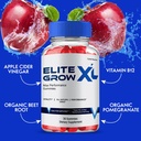 1-pack-elite-grow-xl-gummies-elite-grow--3.jpg
