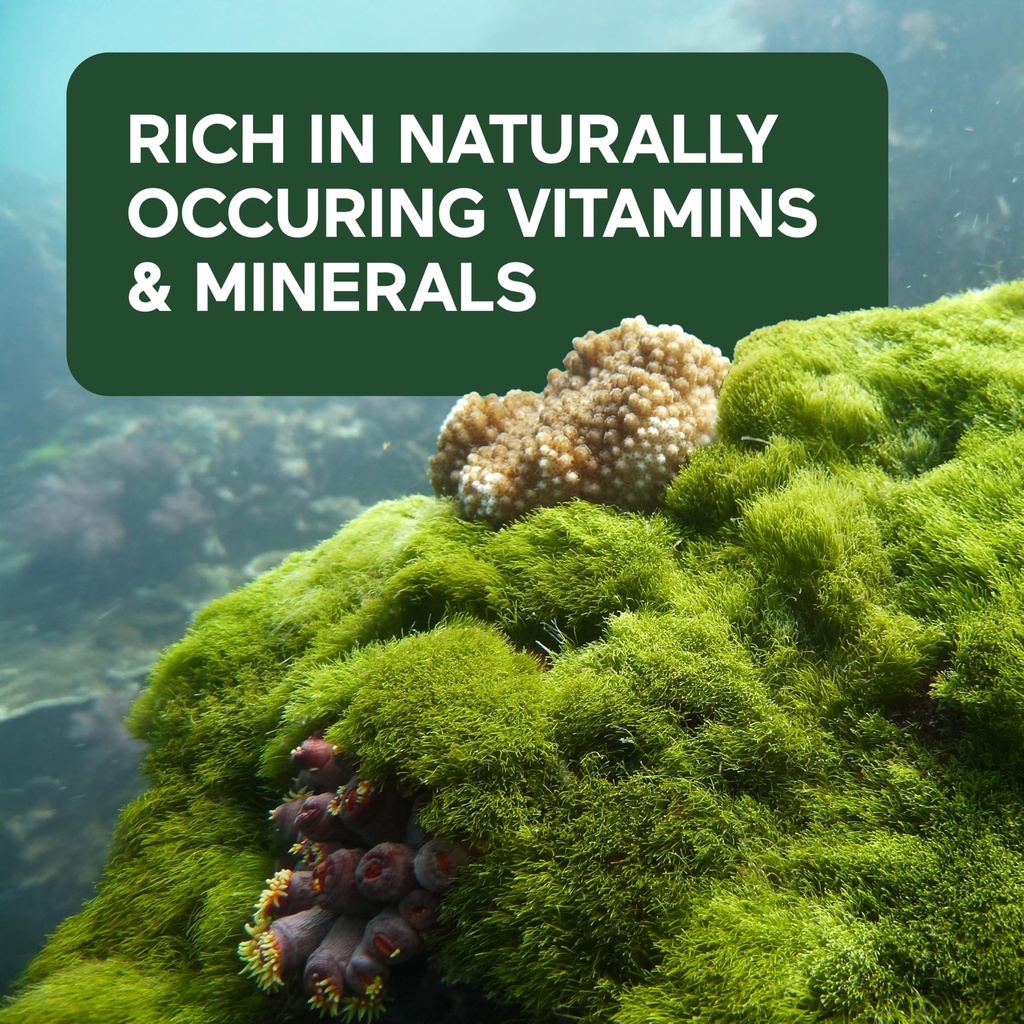 smarternutrition-sea-moss-multimineral-w-6.jpg