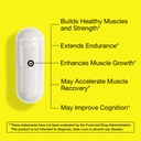 feelgood-company-creatine-high-absorptio-5.jpg