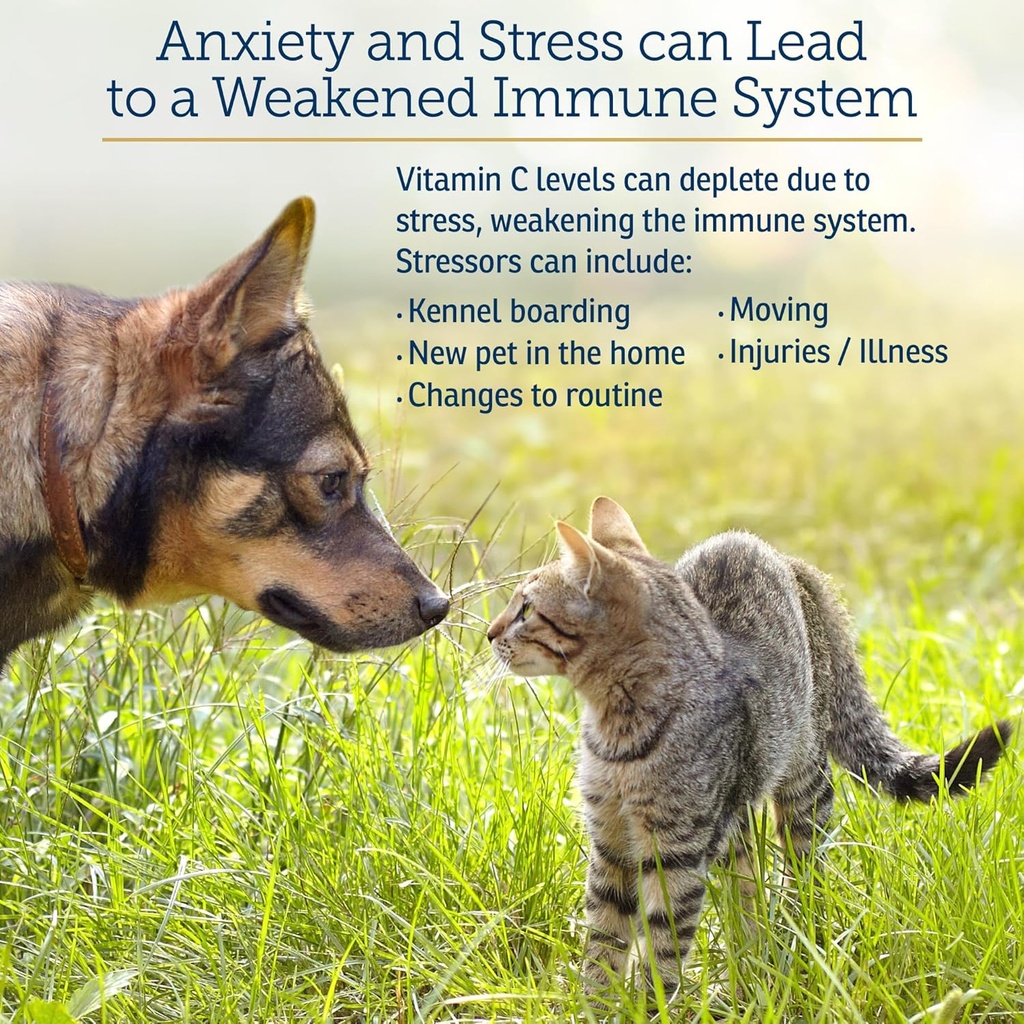 rx-vitamins-bio-c---vitamin-c-for-dogs-a-3.jpg