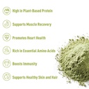 unleash-d-organic-pumpkin-seed-protein-p-2.jpg