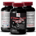 muscle-recovery-booster-tribulus-terrest-2.jpg