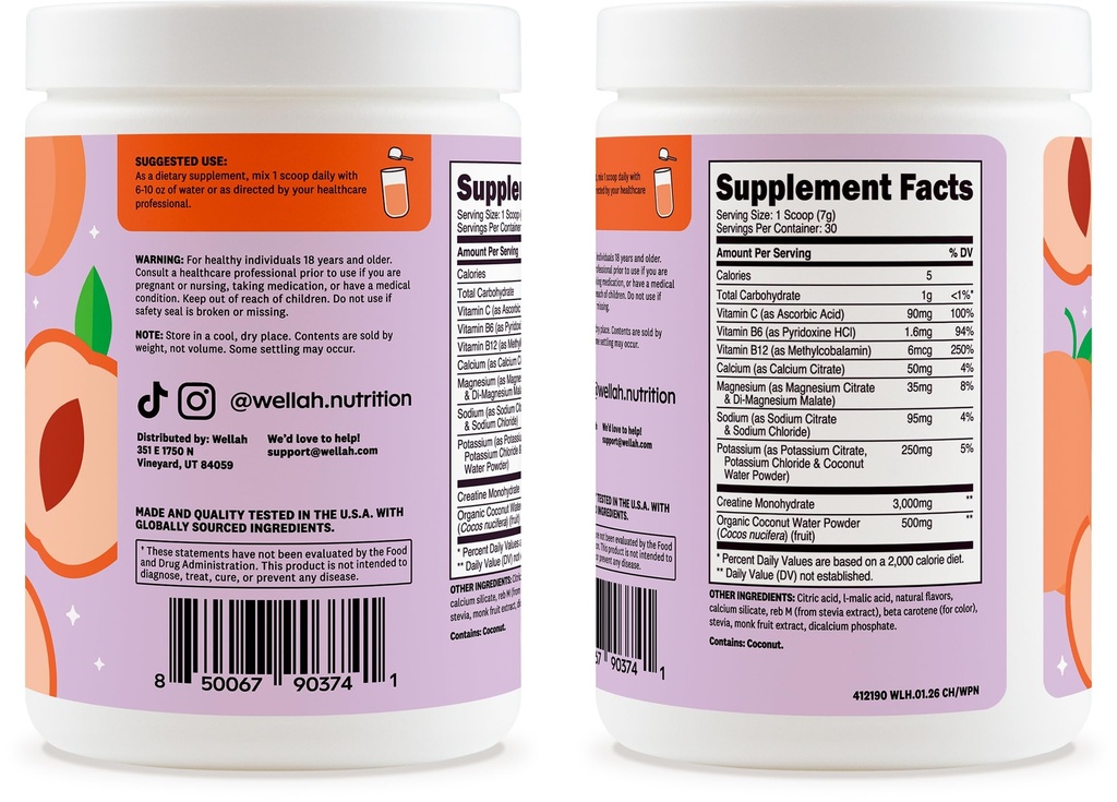 wellah-creatine-electrolytes-powder-whit-3.jpg