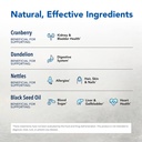 north-american-herb-spice-total-body-pur-3.jpg