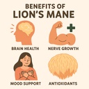 lions-mane-mushroom-cognition-60-capsule-5.jpg