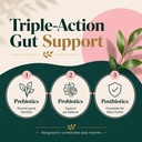 jevawell-probiotic-kombucha-gummies-preb-3.jpg