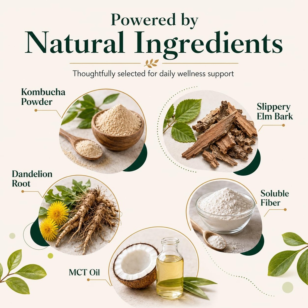 jevawell-probiotic-kombucha-gummies-preb-4.jpg