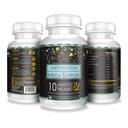 actif-methylation-mega-support-with-10-a-2.jpg