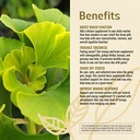 herbamama-brain-support-capsules-1400mg--4.jpg