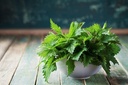 cedar-bear-herbal-minerals-for-kids-a-li-3.jpg